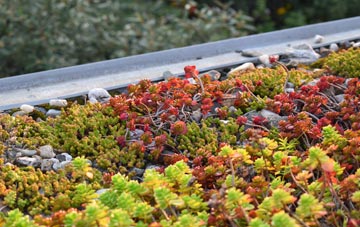 the cost of Thorpe Salvin green roof installation