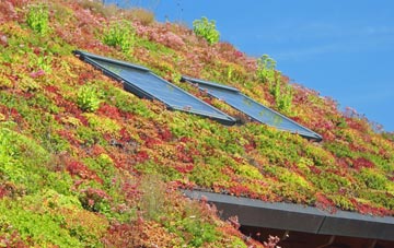 Thorpe Salvin living roof systems